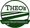 Theo's Lawn Maintence Gainesville